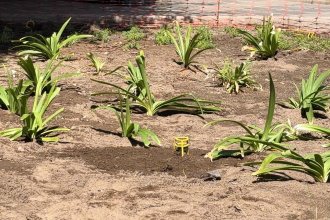 WhatsApp Image 2026-04-01 at 16.03.44 (1).jpeg